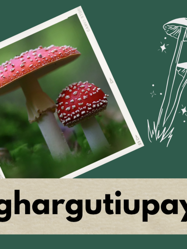 उन्हाळ्यात विविध फळे खा.. आणि बिनधास्त रहा… !!