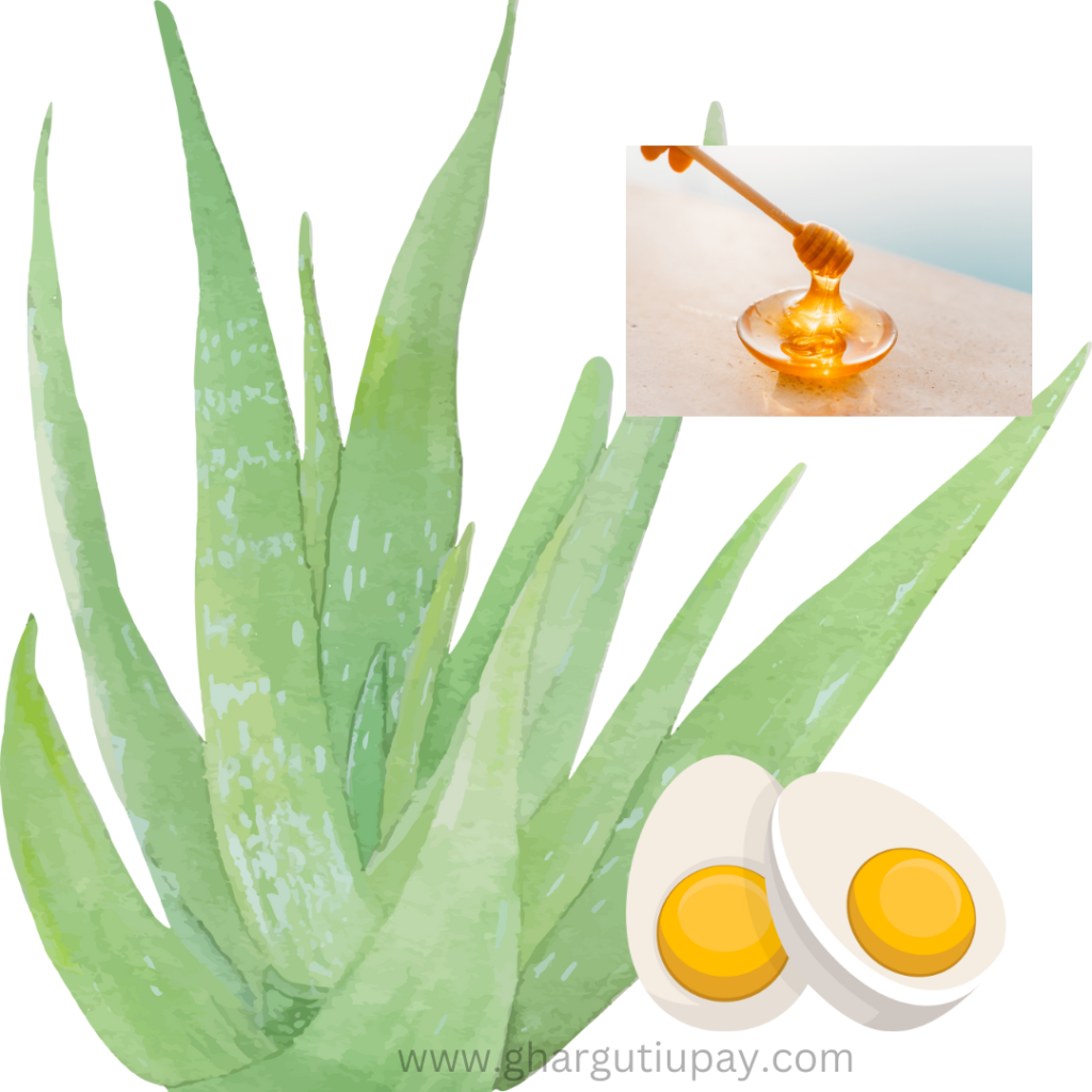 Korfad Che Upyog | Aloe vera Benefits In Marathi